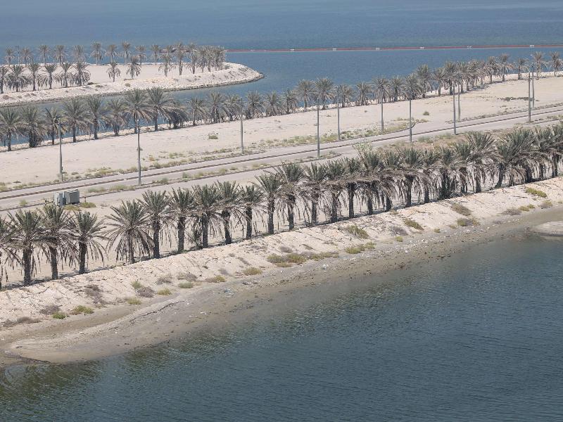 Golden Tulip Al Khobar Suites - Genel