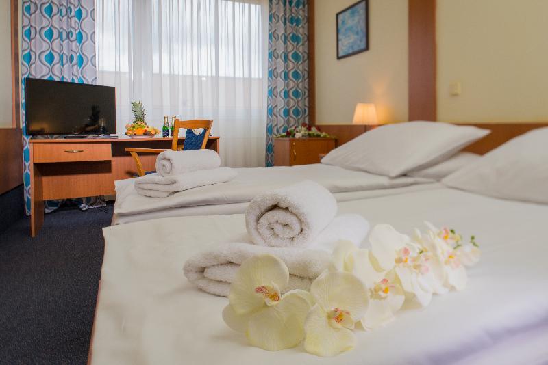 Top Hotel Praha - Oda