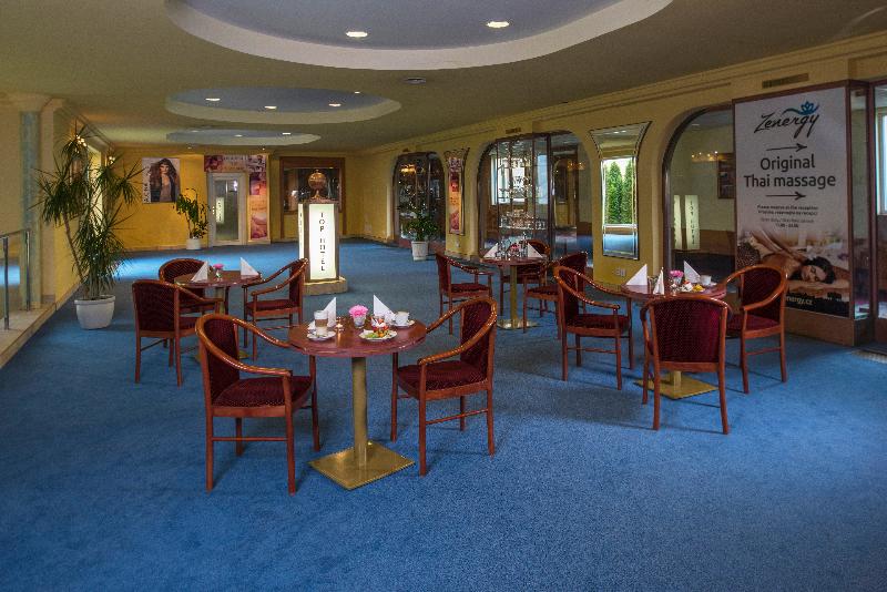 Top Hotel Praha - Havuz