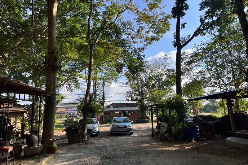 Pang Mai Resort - Genel