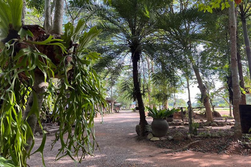 Pang Mai Resort - Genel