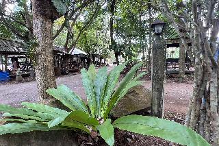 Pang Mai Resort fotoÄŸrafÄ±