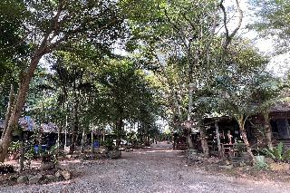 Pang Mai Resort fotoÄŸrafÄ±