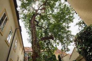 Monastery Garden Prague fotoÄŸrafÄ±