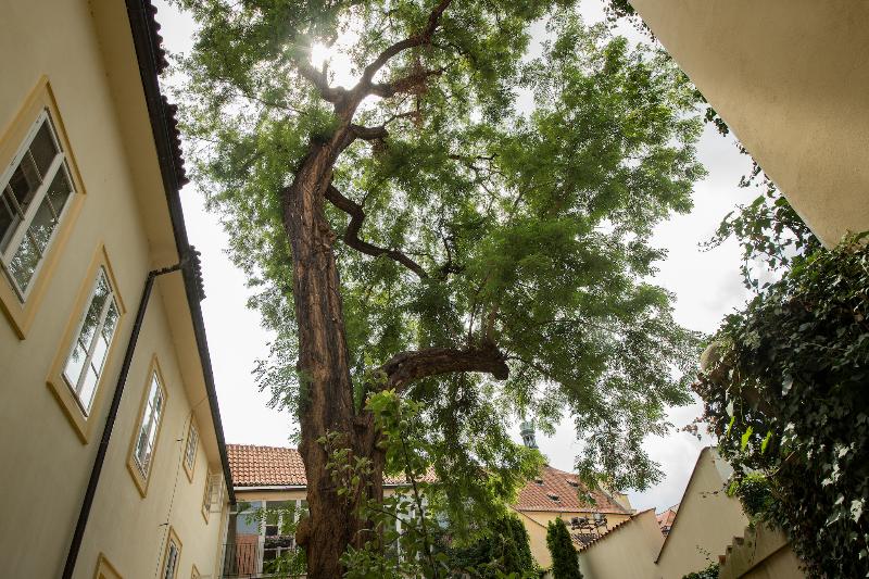 Monastery Garden Prague - Teras