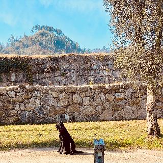 Quinta Do Rapozinho fotoÄŸrafÄ±