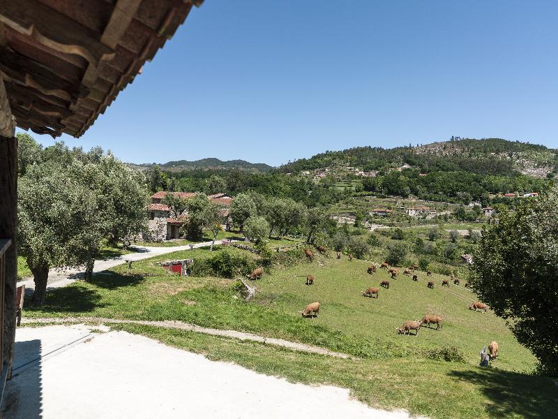 Quinta Do Rapozinho - Oda