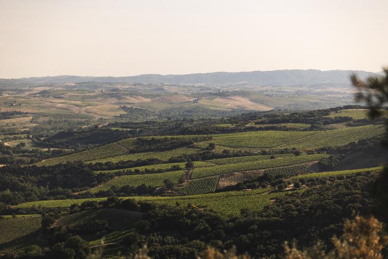 Castello Di Velona, Resort Thermal SPA & Winery - Genel