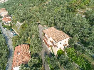 Villa Olivo otel fotoğrafı