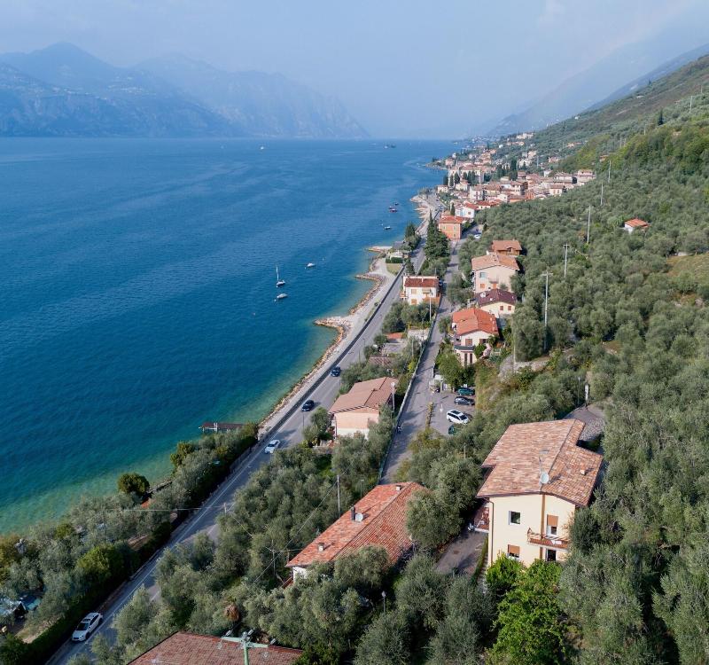 Villa Olivo - Genel