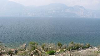 Villa Olivo fotoÄŸrafÄ±