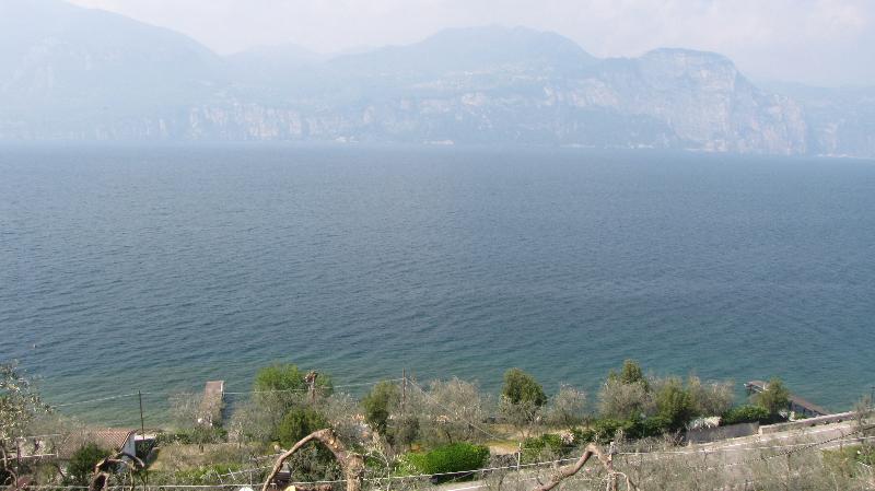 Villa Olivo - Oda