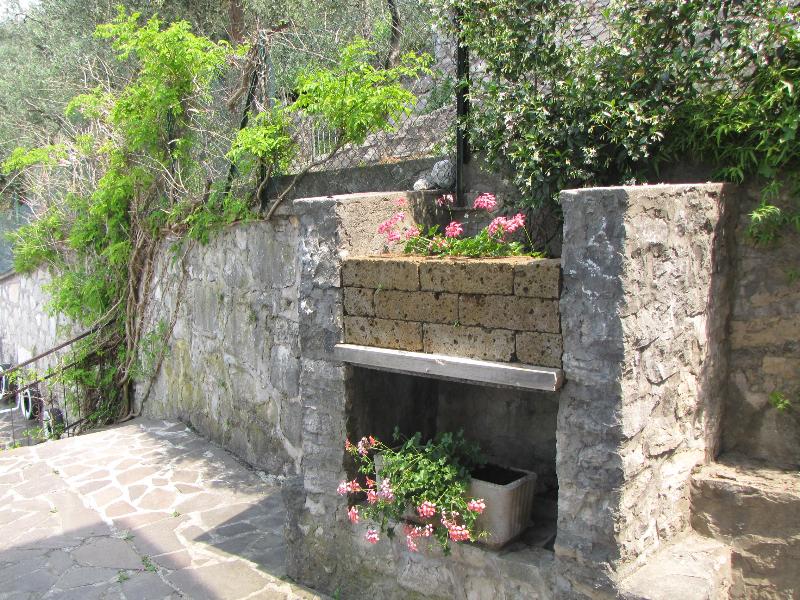 Villa Olivo - Oda