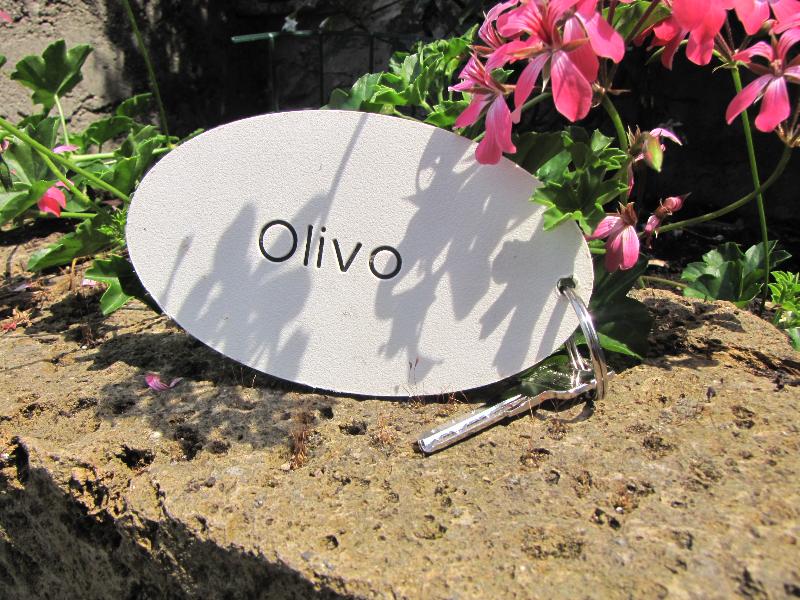 Villa Olivo - Oda