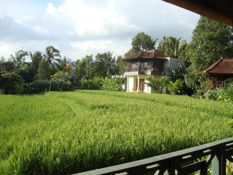 Atres Villa - Genel