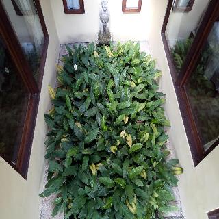 Atres Villa fotoÄŸrafÄ±