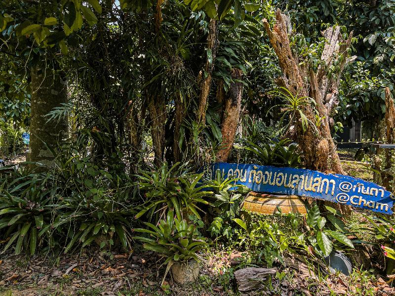 Kanta Hill Resort by ZUZU - Genel