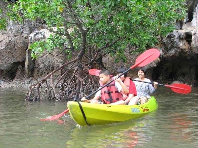 Krabi Discovery Resort - Aktivite