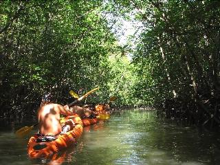 Krabi Discovery Resort fotoÄŸrafÄ±