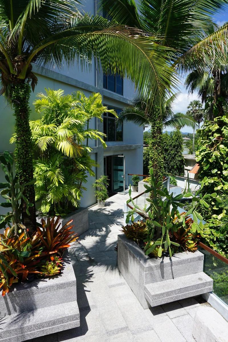 The Regent Phuket Bangtao Beach - Aktivite