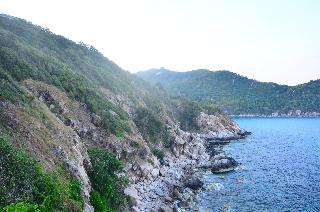 Sai Daeng Resort Koh Tao fotoÄŸrafÄ±
