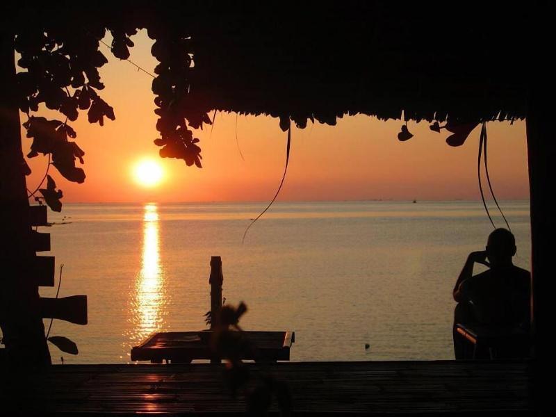 Haad Chao Phao Resort - Genel