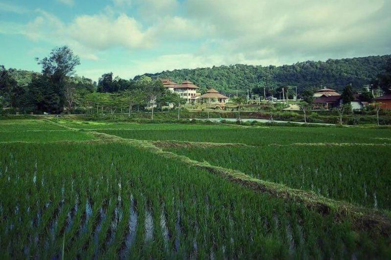Phurua Sanctuary Resort Spa - Teras