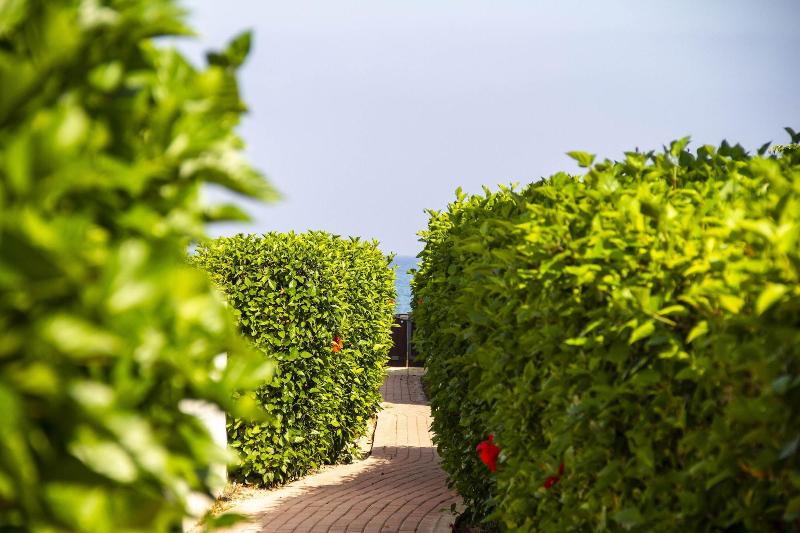 Atlantis Gardens Apartments & Villas - Teras