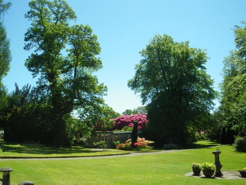 Thackray House - Aktivite