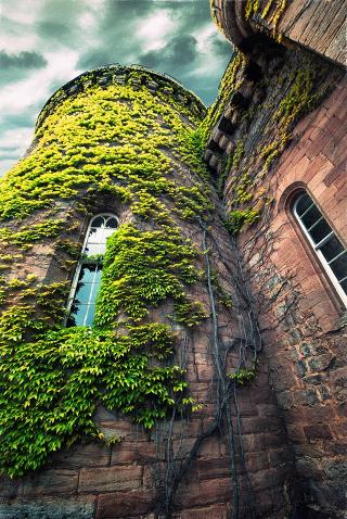 Dalhousie Castle Hotel & Aqua SPA fotoÄŸrafÄ±