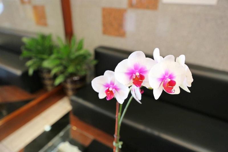 Phoenix Hotel - Lobi