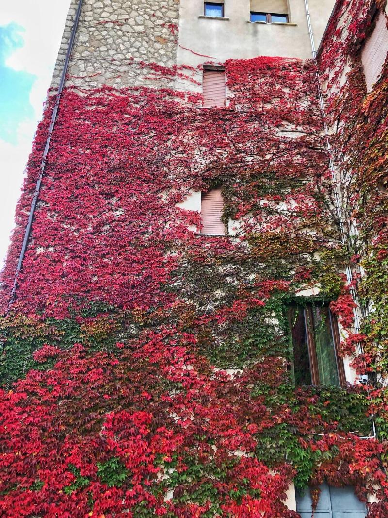 HOTEL COLUCCI - Genel