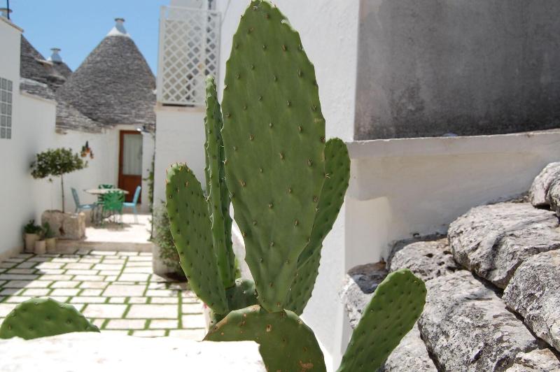 Trulli Holiday Resort - Genel