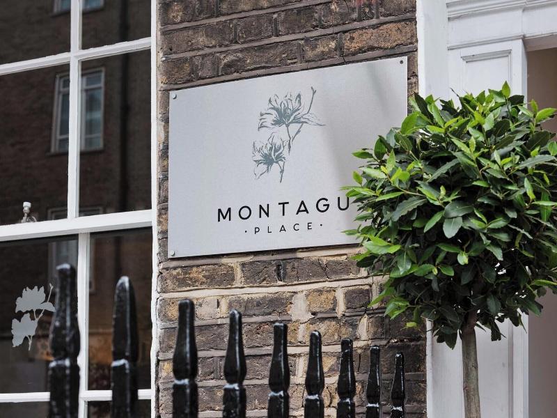 Montagu Place Hotel - Genel