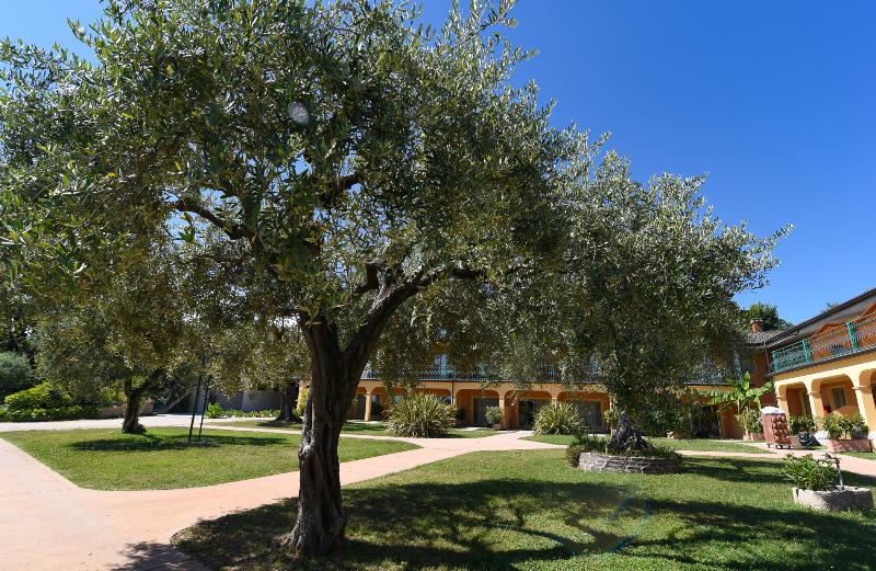 Club del Sole Desenzano Boutique Resort - Genel