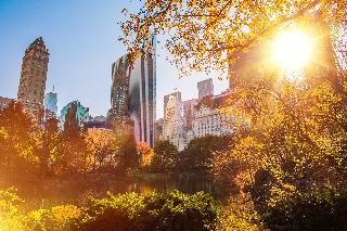 EVEN Hotel Long Island City - New York fotoÄŸrafÄ±
