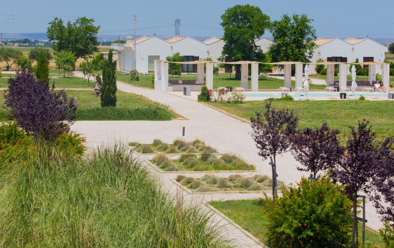 Masseria Fontana Di Vite - Lobi