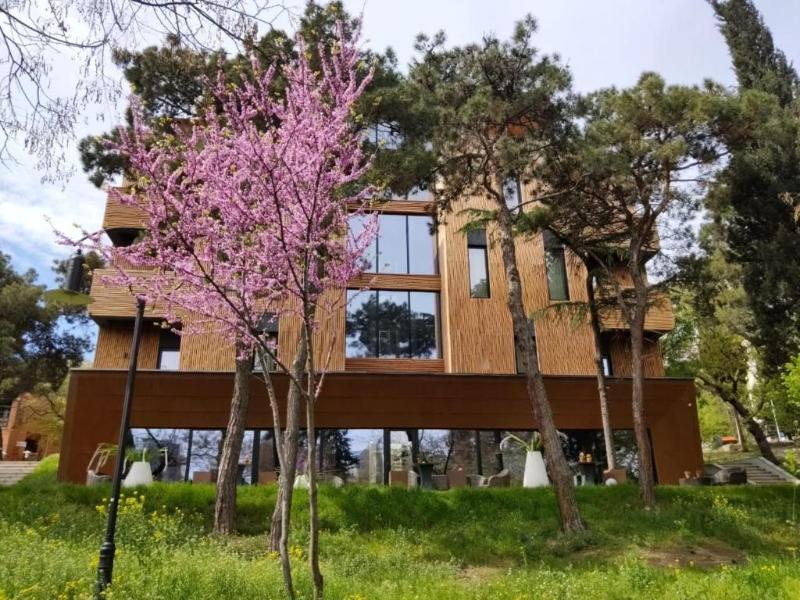 Folk Boutique Hotel - Teras