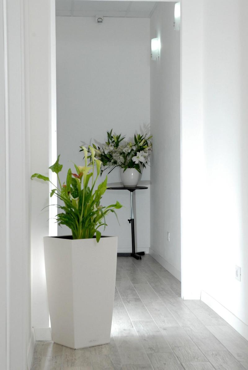 Gardenia Suites - Lobi