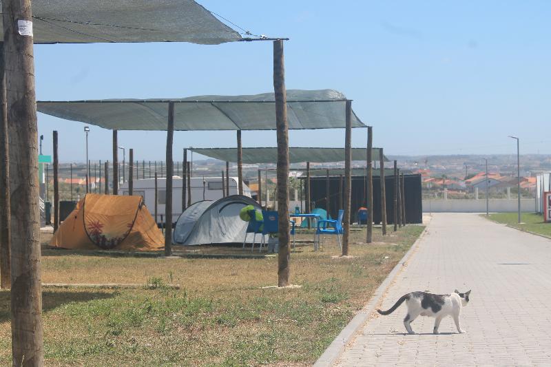 Urban Art Camping - Genel
