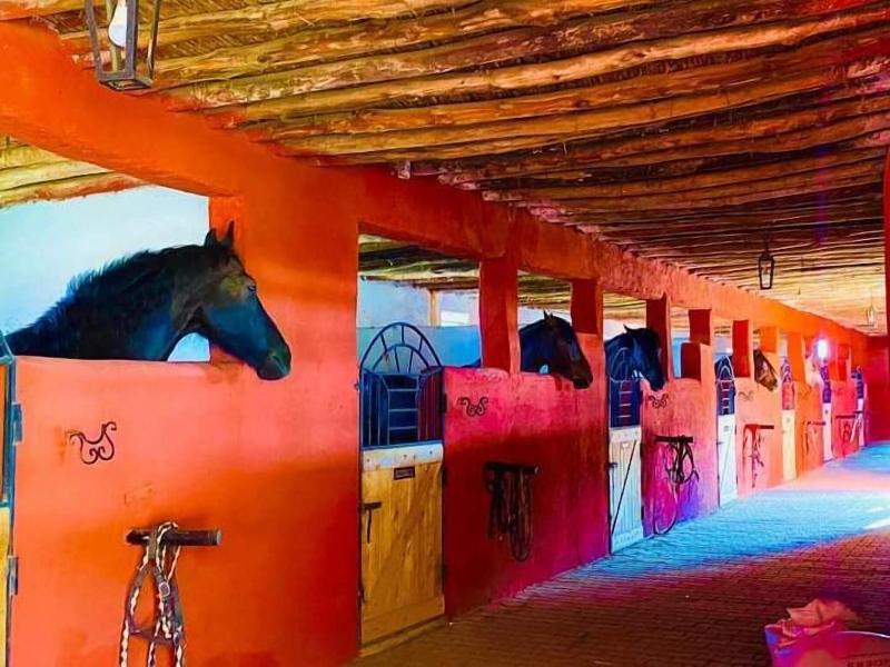 Le Relais De Marrakech - Aktivite