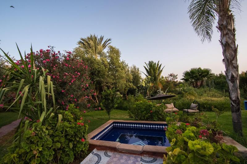Le Relais De Marrakech - Havuz