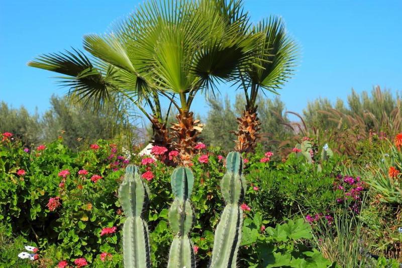 Le Relais De Marrakech - Teras
