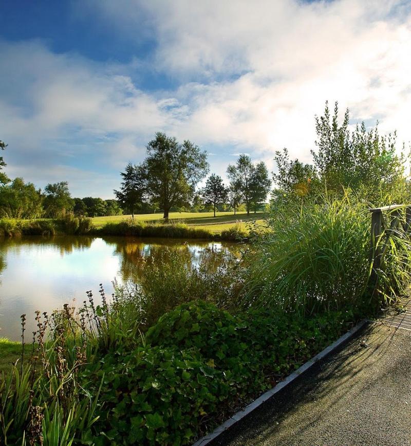 Sandford Springs Hotel & Golf Club - Aktivite