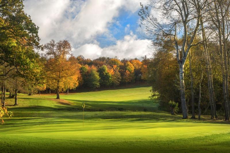 Sandford Springs Hotel & Golf Club - Genel