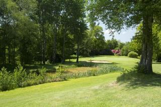 Sandford Springs Hotel & Golf Club fotoÄŸrafÄ±