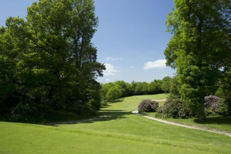 Sandford Springs Hotel & Golf Club - Genel