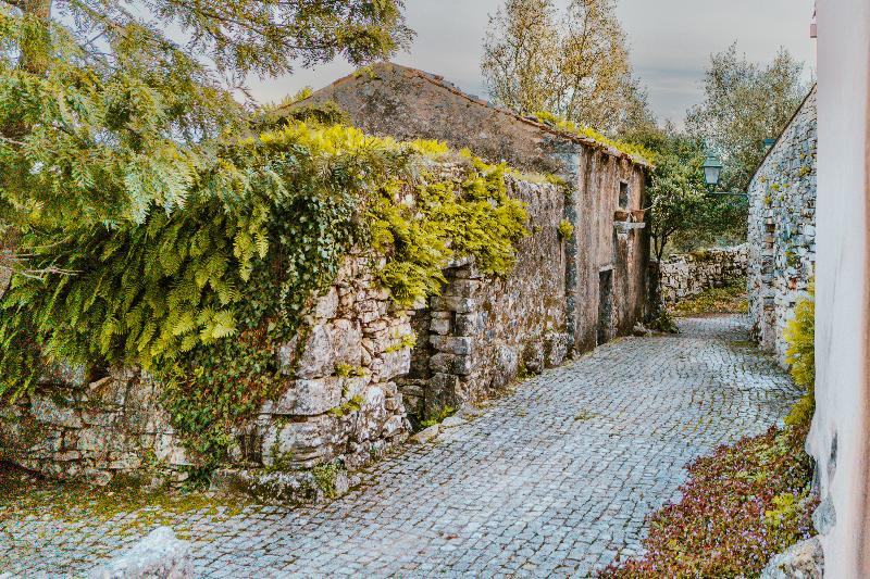 Villa Pedra – Natural Houses - Genel