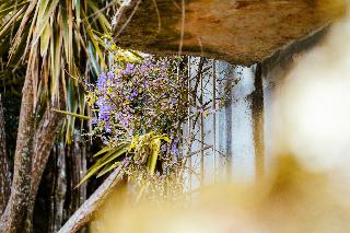 Villa Pedra – Natural Houses fotoÄŸrafÄ±