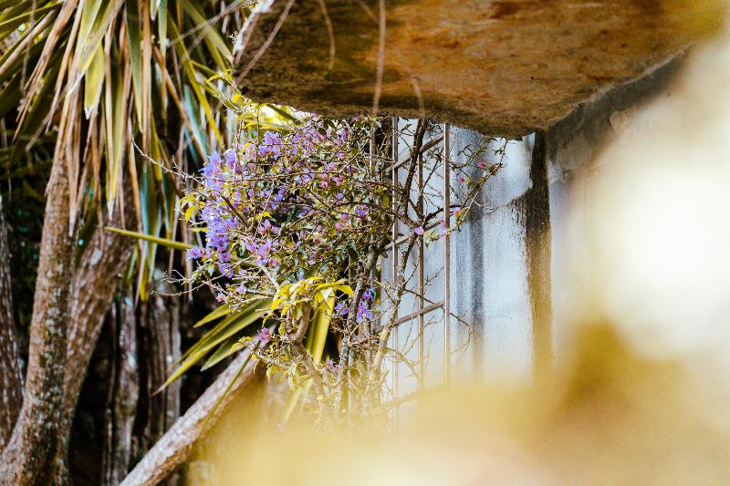 Villa Pedra – Natural Houses - Genel